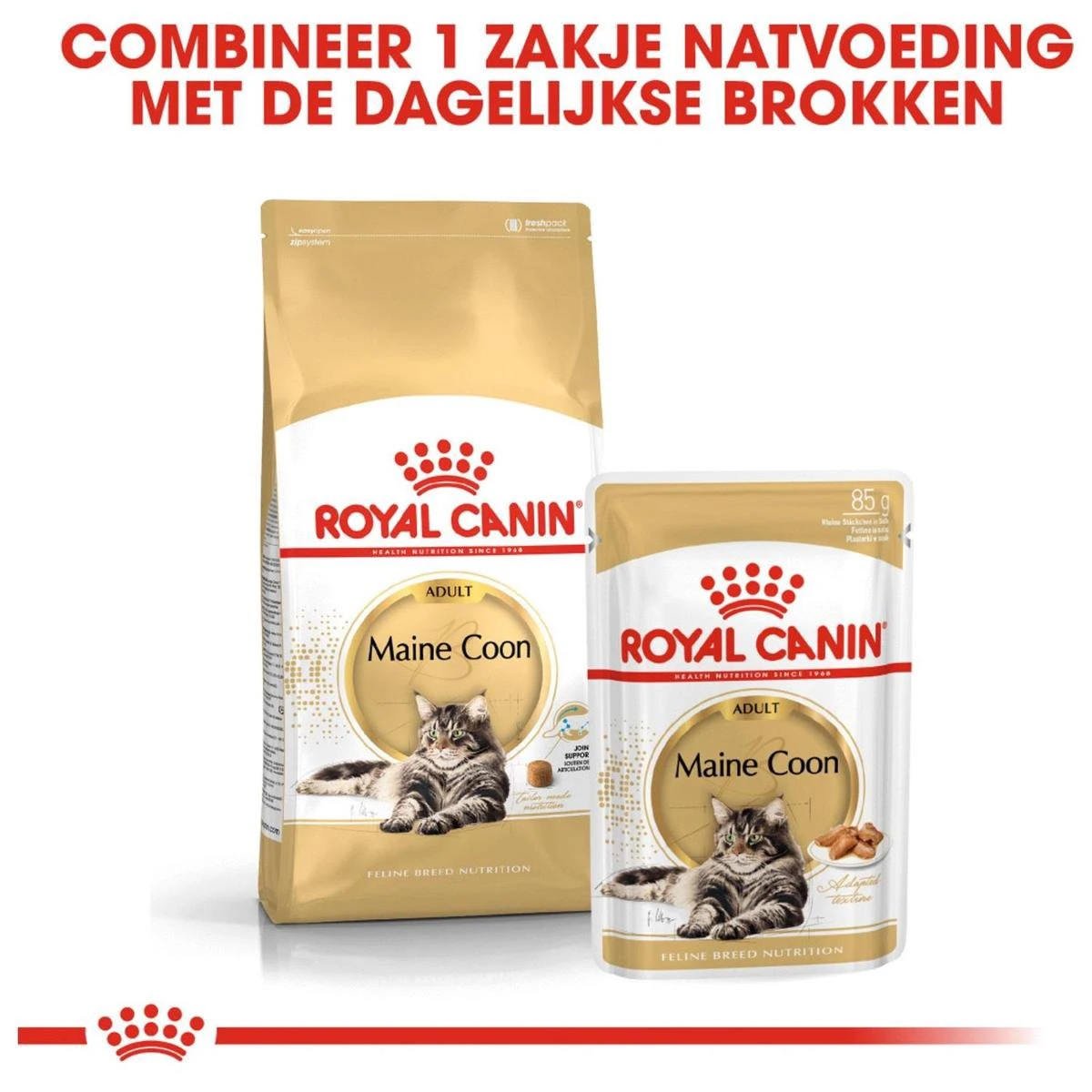 Royal Canin Maine Coon Adult - Kattenvoer - 10 Kg 8 Royal Canin Maine Coon Adult - Kattenvoer - 10 Kg - Afbeelding 6