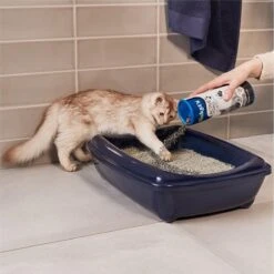 Biokat's Active Pearls - 700 Ml - Toevoeging Voor Kattenbakvulling Met Actieve Kool -Winkel Voor Kattenbenodigdheden 1200x1200 991