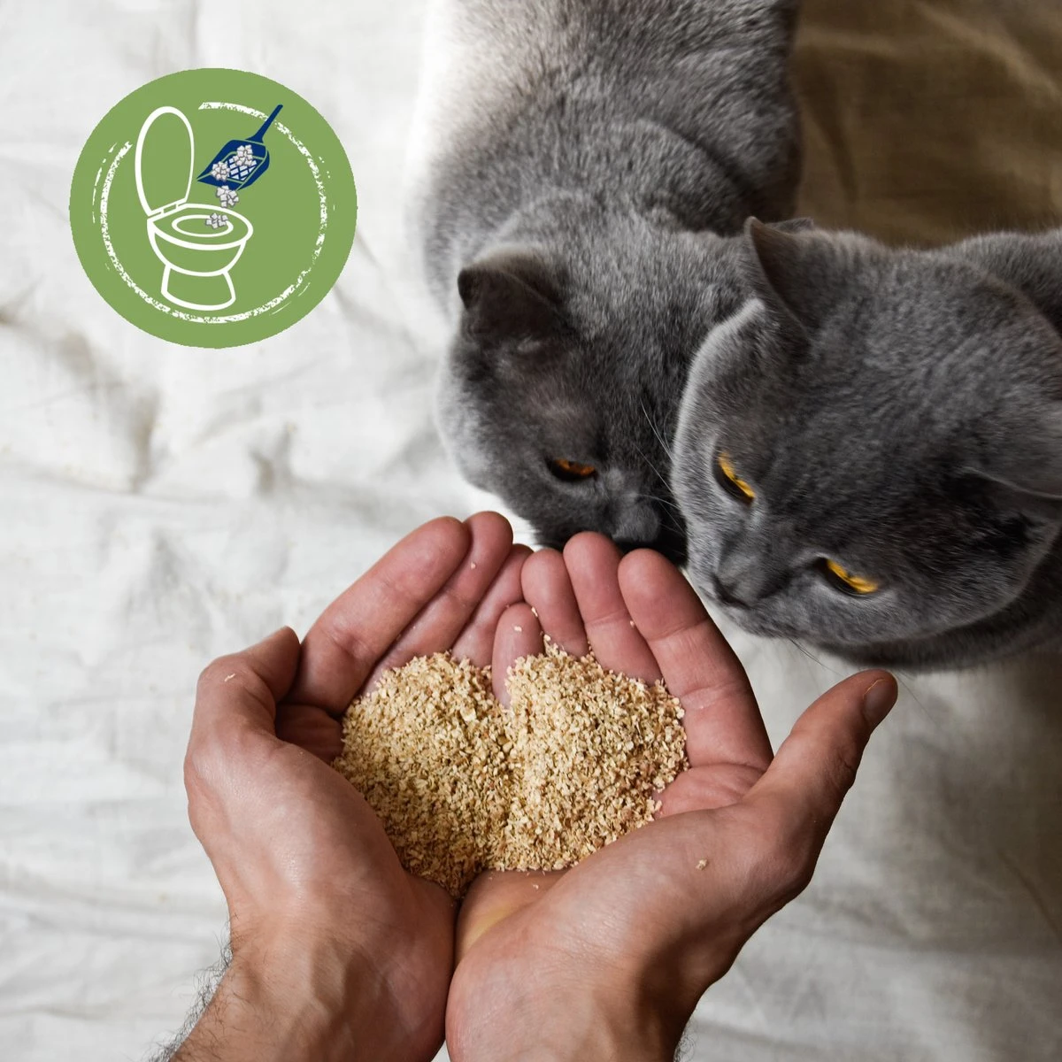 Biokat's Natural Care - 30 L - Kattenbakvulling - Klontvormend - Zonder Geur 6 Biokat's Natural Care - 30 L - Kattenbakvulling - Klontvormend - Zonder Geur - Afbeelding 4