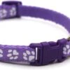 Merkloos Kattenhalsband Met Belletje - Verstelbaar - 19 / 32 Cm - Kattenbandje - Halsband Kat - Cat - Kitten - Katten Halsband - Paars -Winkel Voor Kattenbenodigdheden 1200x595