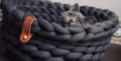 Djambo Kattenmanden, Gevlochten En Zachte Kattenbed, Comfortabel En Warm. -Winkel Voor Kattenbenodigdheden 1200x600 2