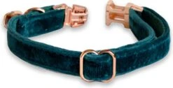 ACE Pets Kattenhalsband Met Belletje – Halsband Kat & Kitten - Kittenhalsband & Kattenbandje - Kattenbelletje - Pluche Velvet - Groen 10 ACE Pets Kattenhalsband Met Belletje – Halsband Kat & Kitten - Kittenhalsband & Kattenbandje - Kattenbelletje - Pluche Velvet - Groen -Winkel Voor Kattenbenodigdheden 1200x611 3