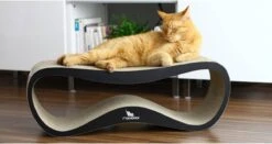 MyKotty LUI - Krabpaal - Zwart - 75cm X 25cm -Winkel Voor Kattenbenodigdheden 1200x638