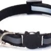 Kattenhalsband Veiligheidssluiting Kattenbandje Kitten Halsband Katten Halsband Reflecterend Verstelbaar 18-32Cm – Zwart -Winkel Voor Kattenbenodigdheden 1200x665