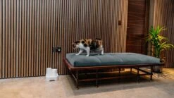 Cat Mate - Waterfontein Kat - Kattenfontein - Drinkfontein Kat - Fluisterstil - Poezen Fontein - Dieren Drinkbakken - Honden Fontein - 2 L 19 Cat Mate - Waterfontein Kat - Kattenfontein - Drinkfontein Kat - Fluisterstil - Poezen Fontein - Dieren Drinkbakken - Honden Fontein - 2 L -Winkel Voor Kattenbenodigdheden 1200x675 5