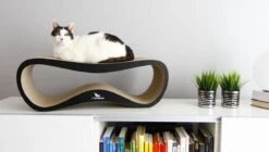 MyKotty LUI - Krabpaal - Zwart - 75cm X 25cm -Winkel Voor Kattenbenodigdheden 1200x678 1