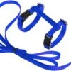 Kattentuigje Met Looplijn Kattenharnas Katten Riem Met Looplijn Kat Verstelbaar - Blauw 1 Kattentuigje Met Looplijn Kattenharnas Katten Riem Met Looplijn Kat Verstelbaar - Blauw -Winkel Voor Kattenbenodigdheden 1200x687 1