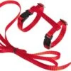 Kattentuigje Met Looplijn Kattenharnas Katten Riem Met Looplijn Kat Verstelbaar - Rood 2 Kattentuigje Met Looplijn Kattenharnas Katten Riem Met Looplijn Kat Verstelbaar - Rood -Winkel Voor Kattenbenodigdheden 1200x687 2