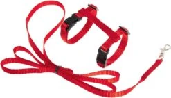 Kattentuigje Met Looplijn Kattenharnas Katten Riem Met Looplijn Kat Verstelbaar - Rood