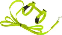 Kattentuigje Met Looplijn Kattenharnas Kittentuigje Kattenriem Met Looplijn Kat Kitten Tuigje Verstelbaar - Groen
