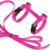 Kattentuigje Met Looplijn Kattenharnas Kittentuigje Kattenriem Met Looplijn Kat Kitten Tuigje Verstelbaar - Roze 2 Kattentuigje Met Looplijn Kattenharnas Kittentuigje Kattenriem Met Looplijn Kat Kitten Tuigje Verstelbaar - Roze -Winkel Voor Kattenbenodigdheden 1200x687 3