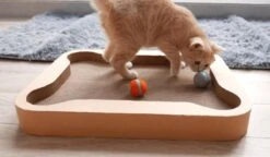 Cheerble Mini Ball 2.0 - Slimme Interactieve Zelf Rollende Bal Voor Katten - 3 Speelmodi - Kattenspeeltjes - USB Oplaadbaar - Rood -Winkel Voor Kattenbenodigdheden 1200x699 2