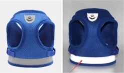 Merkloos Verstelbaar Kattentuigje Reflecterend - Kattenharnas - Kattentuig Met Looplijn - Blauw - Maat S -Winkel Voor Kattenbenodigdheden 1200x708 1