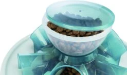 TRIXIE Kattenspeelgoed Tunnel Feeder Strategiespel - Blauw 16 TRIXIE Kattenspeelgoed Tunnel Feeder Strategiespel - Blauw -Winkel Voor Kattenbenodigdheden 1200x715 1