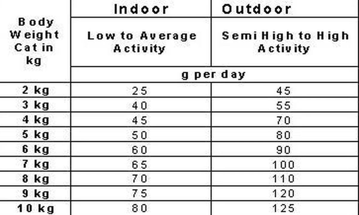 Smolke Adult Chicken & Rice 10 Kg - Kat 8 Smolke Adult Chicken & Rice 10 Kg - Kat - Afbeelding 6