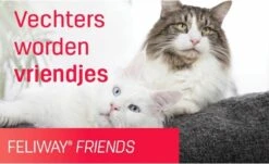 Feliway Friends - Startset - 1 Verdamper Met 1 Vulling - 48 Ml - Anti-conflict Voor Katten -Winkel Voor Kattenbenodigdheden 1200x735