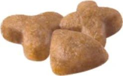 Royal Canin Sensible 33 - Kattenvoer - 2 Kg 22 Royal Canin Sensible 33 - Kattenvoer - 2 Kg -Winkel Voor Kattenbenodigdheden 1200x746