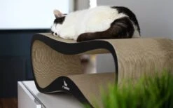 MyKotty LUI - Krabpaal - Zwart - 75cm X 25cm -Winkel Voor Kattenbenodigdheden 1200x746 4