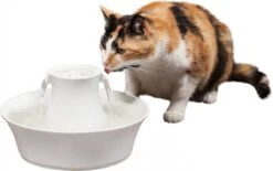 Petsafe Drinkwell Ceramic Avalon - Drinkfontein - 2 L -Winkel Voor Kattenbenodigdheden 1200x754