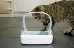 Surefeed Microchip Pet Feeder - Voerbak - 30 X 23 X 22 Cm 27 Surefeed Microchip Pet Feeder - Voerbak - 30 X 23 X 22 Cm -Winkel Voor Kattenbenodigdheden 1200x780 2