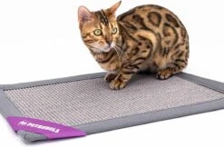 Petrebels Mastermat 60 Katten Krabmat - Grijs - 60 X 40 Cm - Zeer Sterk -Winkel Voor Kattenbenodigdheden 1200x788