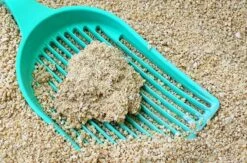 Merkloos GrainCat Composteerbare Kattenbakvulling Klontvormend 24L -Winkel Voor Kattenbenodigdheden 1200x790 1