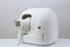 PETKIT® Pura MAX – Automatische Kattenbak – Elektrisch – Kattenbak Zelfreinigend – Bedienen Via De App 14 PETKIT® Pura MAX – Automatische Kattenbak – Elektrisch – Kattenbak Zelfreinigend – Bedienen Via De App -Winkel Voor Kattenbenodigdheden 1200x798 8