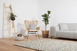 Cat Cave Stone 5 Cat Cave Stone -Winkel Voor Kattenbenodigdheden 1200x800 10