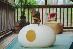 SinDesign Poopoopeedo Kattenbak - Zwart -Winkel Voor Kattenbenodigdheden 1200x800 39