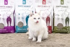 Dirty Rebels Kattenbakvulling - 10 L - Geurloos / Zonder Geur - Sterk Klontvormend - Stofvrij - 100% Natuurlijk - Premium Kwaliteit Van Petrebels 12 Dirty Rebels Kattenbakvulling - 10 L - Geurloos / Zonder Geur - Sterk Klontvormend - Stofvrij - 100% Natuurlijk - Premium Kwaliteit Van Petrebels -Winkel Voor Kattenbenodigdheden 1200x800 46