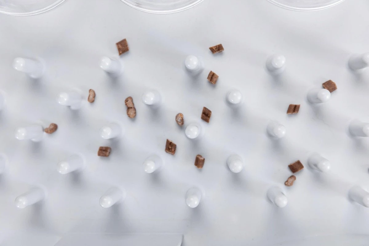 Trixie Cat Activity Fun Bord - 40X30 CM 18 Trixie Cat Activity Fun Bord - 40X30 CM - Afbeelding 16