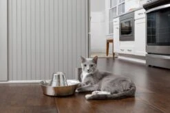 PetSafe® Seaside Stainless Steel Pet Fountain - RVS Drinkfontein Voor Katten En Kleine Honden - Water Borrelt Zacht Over De Toren - Door Het Design Van Alle Kanten Bereikbaar - 1,8 Liter - PetSafe Seaside -Winkel Voor Kattenbenodigdheden 1200x800 6