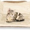 Kattenhangmat - Voor Aan Het Raam - Kattenmand - Raam - Hangmat Kat - Dieren - Kattenbed - Kattenmand - Slaapplek - Ligplaats 1 Kattenhangmat - Voor Aan Het Raam - Kattenmand - Raam - Hangmat Kat - Dieren - Kattenbed - Kattenmand - Slaapplek - Ligplaats -Winkel Voor Kattenbenodigdheden 1200x801 3