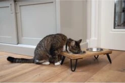 Designed By Lotte DBL HOUT DINERSET K LINGA 31 X 16 X 10 -Winkel Voor Kattenbenodigdheden 1200x804 1