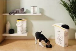 Curver Voedselcontainer Kat - 10 L -Winkel Voor Kattenbenodigdheden 1200x805 1