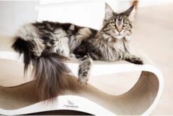 MyKotty LUI - Krabpaal - Wit - 75 X 25 Cm -Winkel Voor Kattenbenodigdheden 1200x806 1