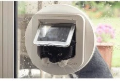 SureFlap Microchip Dualscan - Kattenluik - M - 14 X 12 Cm -Winkel Voor Kattenbenodigdheden 1200x815