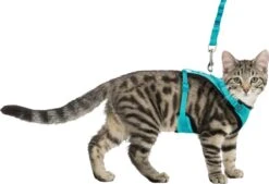Trixie Kattentuig Mesh Y-vorm Met Elastische Riem (36-60X100 CM) -Winkel Voor Kattenbenodigdheden 1200x821