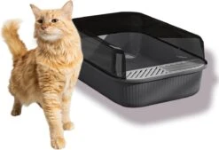 Merkloos Kattenbak - Zwart - Open - Incl. Schep - Modern - Hip - Trendy - Design Kattenbak -Winkel Voor Kattenbenodigdheden 1200x823 1