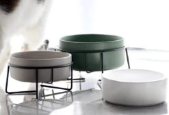 GIZMO 2x Voerbak Kat - 400 Ml - Groen - Keramische Drink- & Voerbakken Met Standaard - 13 Cm - 2 Stuks 25 GIZMO 2x Voerbak Kat - 400 Ml - Groen - Keramische Drink- & Voerbakken Met Standaard - 13 Cm - 2 Stuks -Winkel Voor Kattenbenodigdheden 1200x823