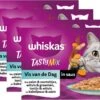 Whiskas 1+ Natvoer - Tasty Mix - Vis Van De Dag In Saus - Maaltijdzakjes 48 X 85 G -Winkel Voor Kattenbenodigdheden 1200x829 1