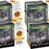 Pro Plan Cat NutriSavour Sterilised Multipack - Kattenvoer - Kip 40x85 G 1 Pro Plan Cat NutriSavour Sterilised Multipack - Kattenvoer - Kip 40x85 G -Winkel Voor Kattenbenodigdheden 1200x831 1