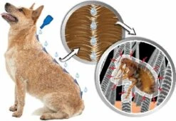 Beaphar DIMETHIcare Line On Kat - Vlooienbestrijding - 6 Pipetten 14 Beaphar DIMETHIcare Line On Kat - Vlooienbestrijding - 6 Pipetten -Winkel Voor Kattenbenodigdheden 1200x831