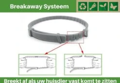 Vlooienband Voor Katten - Creme - 100% Natuurlijk - Zonder Giftige Pesticiden - Vlooien En Teken - Geurhalsband -Winkel Voor Kattenbenodigdheden 1200x836 1