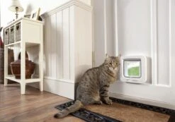 SureFlap Microchip Dualscan - Kattenluik - M - 14 X 12 Cm -Winkel Voor Kattenbenodigdheden 1200x842 4