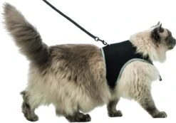 Trixie Soft Kattentuig - Zwart - 1,2 M 10 Trixie Soft Kattentuig - Zwart - 1,2 M -Winkel Voor Kattenbenodigdheden 1200x842 6