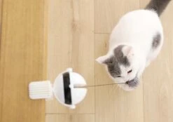 Merkloos Kattenhengel - Elektrisch Kattenspeelgoed - Kattenspeeltjes - Automatische Hengel - Kitten Speelgoed - Interactief Kattenspeelgoed - Bal - Katten - Poesjes - Kitten - Kat - Kattenbal - Kattenspeeltjes Intelligentie 10 Merkloos Kattenhengel - Elektrisch Kattenspeelgoed - Kattenspeeltjes - Automatische Hengel - Kitten Speelgoed - Interactief Kattenspeelgoed - Bal - Katten - Poesjes - Kitten - Kat - Kattenbal - Kattenspeeltjes Intelligentie -Winkel Voor Kattenbenodigdheden 1200x845 2