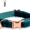 ACE Pets Kattenhalsband Met Belletje – Halsband Kat & Kitten - Kittenhalsband & Kattenbandje - Kattenbelletje - Pluche Velvet - Groen -Winkel Voor Kattenbenodigdheden 1200x851 4