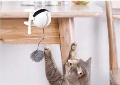 Merkloos Kattenhengel - Elektrisch Kattenspeelgoed - Kattenspeeltjes - Automatische Hengel - Kitten Speelgoed - Interactief Kattenspeelgoed - Bal - Katten - Poesjes - Kitten - Kat - Kattenbal - Kattenspeeltjes Intelligentie 9 Merkloos Kattenhengel - Elektrisch Kattenspeelgoed - Kattenspeeltjes - Automatische Hengel - Kitten Speelgoed - Interactief Kattenspeelgoed - Bal - Katten - Poesjes - Kitten - Kat - Kattenbal - Kattenspeeltjes Intelligentie -Winkel Voor Kattenbenodigdheden 1200x852 3