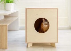 Catandwood Kattenhuis - Kattenbakcontainer - Kattenbak Ombouw - Hout -Winkel Voor Kattenbenodigdheden 1200x856 2